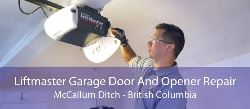 Liftmaster Garage Door And Opener Repair McCallum Ditch - British Columbia