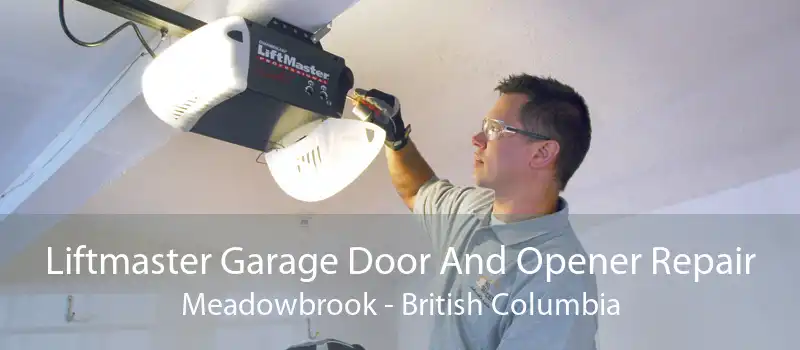 Liftmaster Garage Door And Opener Repair Meadowbrook - British Columbia