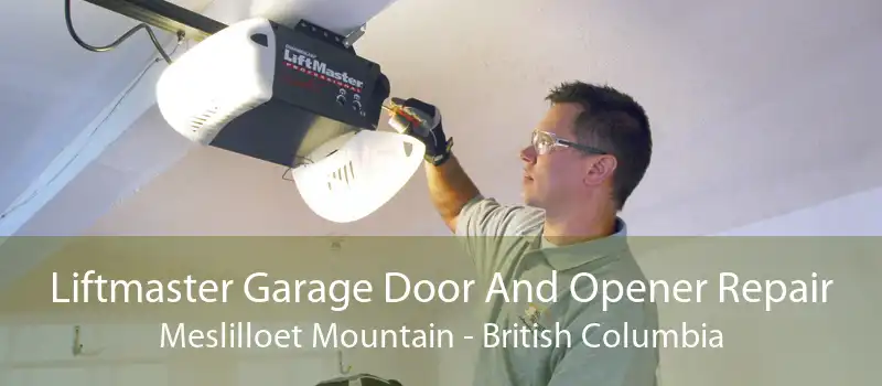 Liftmaster Garage Door And Opener Repair Meslilloet Mountain - British Columbia