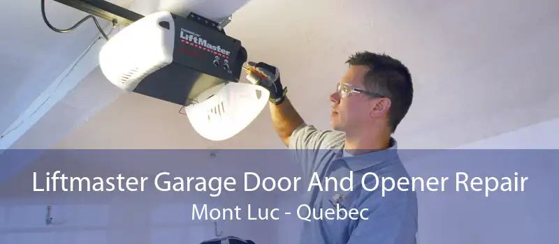 Liftmaster Garage Door And Opener Repair Mont Luc - Quebec