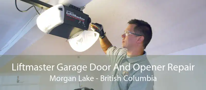 Liftmaster Garage Door And Opener Repair Morgan Lake - British Columbia