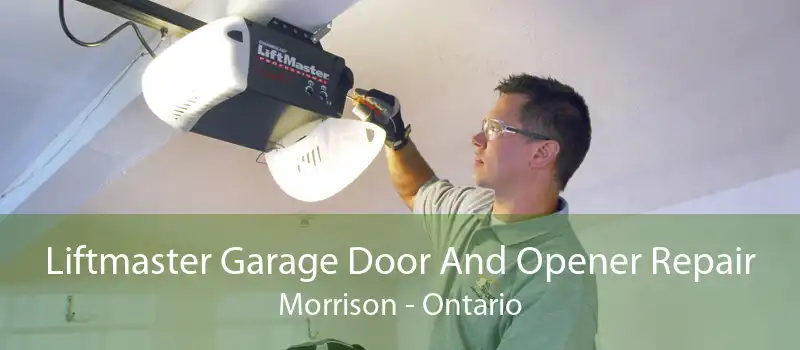 Liftmaster Garage Door And Opener Repair Morrison - Ontario
