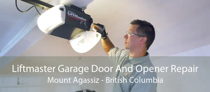 Liftmaster Garage Door And Opener Repair Mount Agassiz - British Columbia