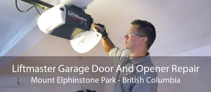 Liftmaster Garage Door And Opener Repair Mount Elphinstone Park - British Columbia