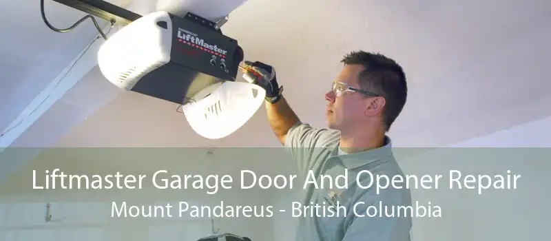 Liftmaster Garage Door And Opener Repair Mount Pandareus - British Columbia