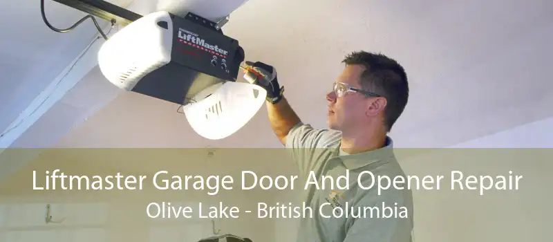 Liftmaster Garage Door And Opener Repair Olive Lake - British Columbia
