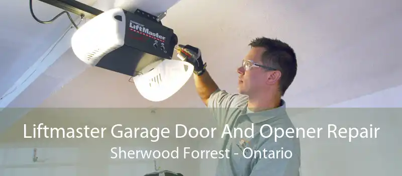 Liftmaster Garage Door And Opener Repair Sherwood Forrest - Ontario