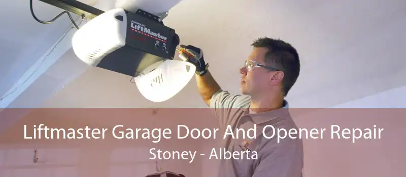 Liftmaster Garage Door And Opener Repair Stoney - Alberta