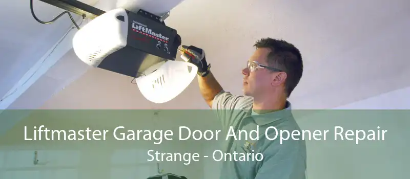 Liftmaster Garage Door And Opener Repair Strange - Ontario