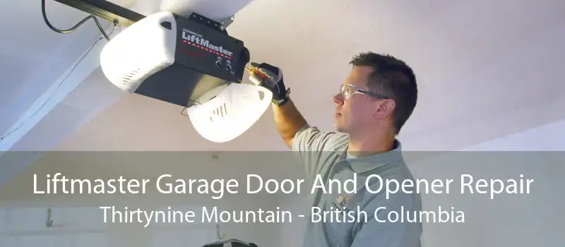 Liftmaster Garage Door And Opener Repair Thirtynine Mountain - British Columbia