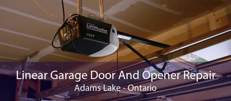 Linear Garage Door And Opener Repair Adams Lake - Ontario