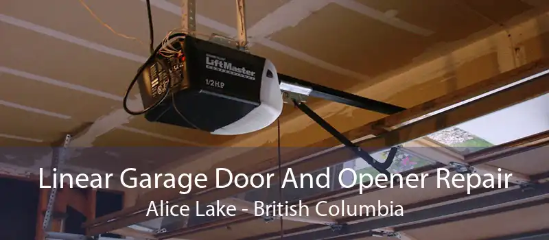 Linear Garage Door And Opener Repair Alice Lake - British Columbia