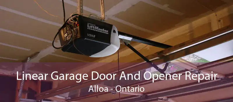 Linear Garage Door And Opener Repair Alloa - Ontario