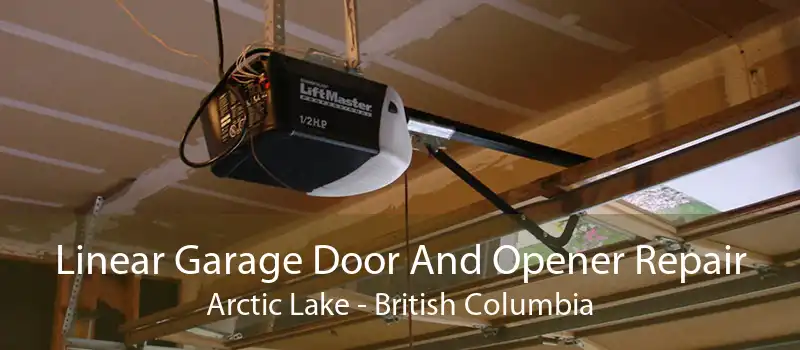 Linear Garage Door And Opener Repair Arctic Lake - British Columbia