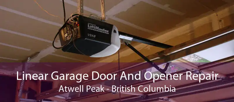 Linear Garage Door And Opener Repair Atwell Peak - British Columbia