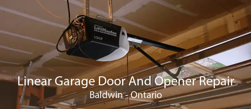 Linear Garage Door And Opener Repair Baldwin - Ontario