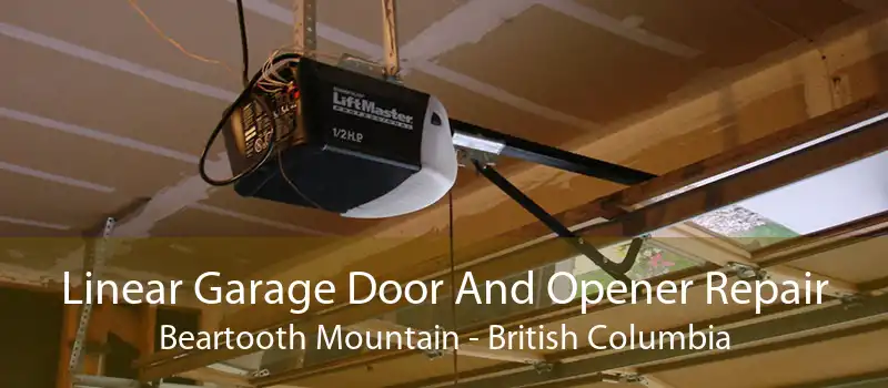 Linear Garage Door And Opener Repair Beartooth Mountain - British Columbia