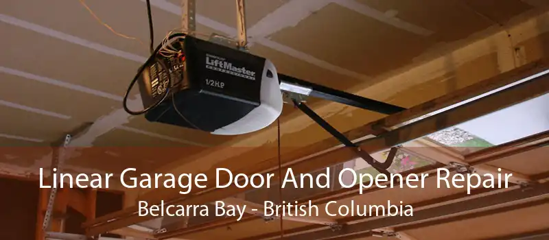 Linear Garage Door And Opener Repair Belcarra Bay - British Columbia