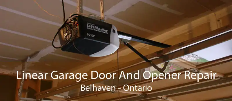 Linear Garage Door And Opener Repair Belhaven - Ontario