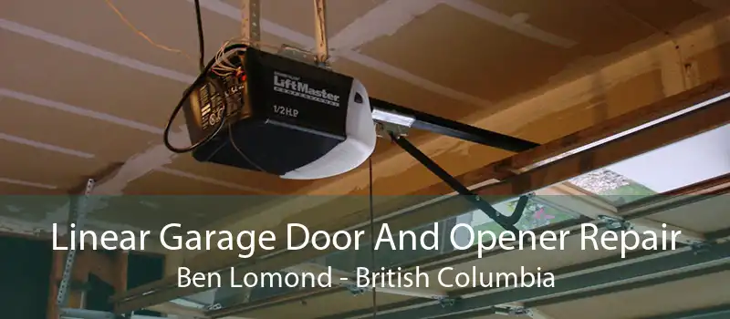 Linear Garage Door And Opener Repair Ben Lomond - British Columbia
