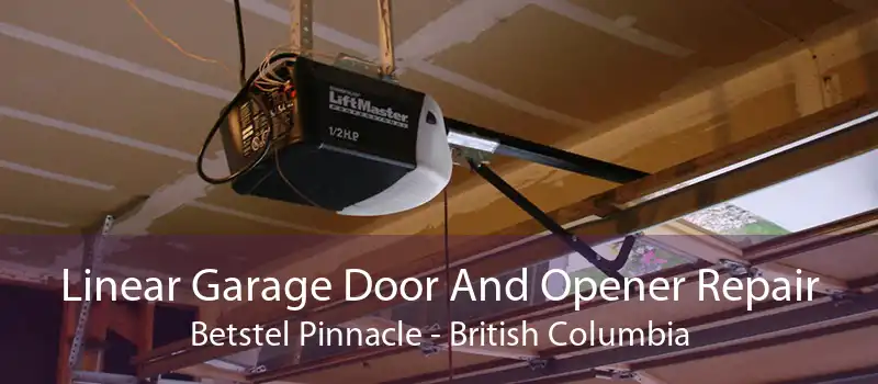 Linear Garage Door And Opener Repair Betstel Pinnacle - British Columbia