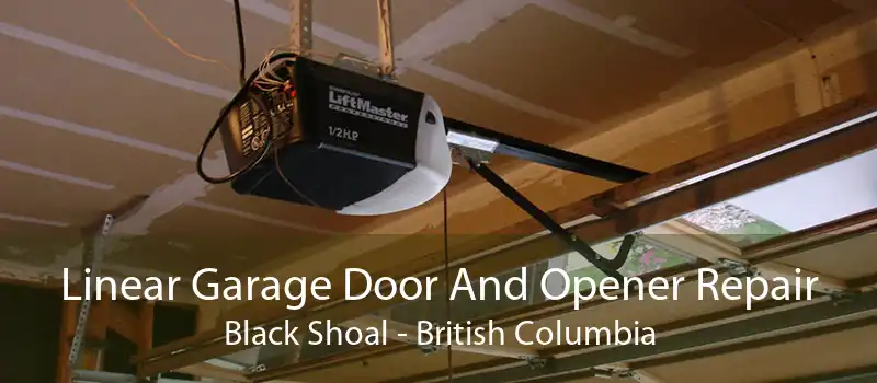 Linear Garage Door And Opener Repair Black Shoal - British Columbia