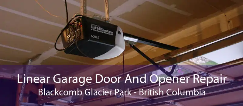 Linear Garage Door And Opener Repair Blackcomb Glacier Park - British Columbia