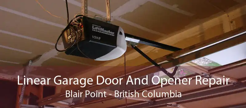 Linear Garage Door And Opener Repair Blair Point - British Columbia
