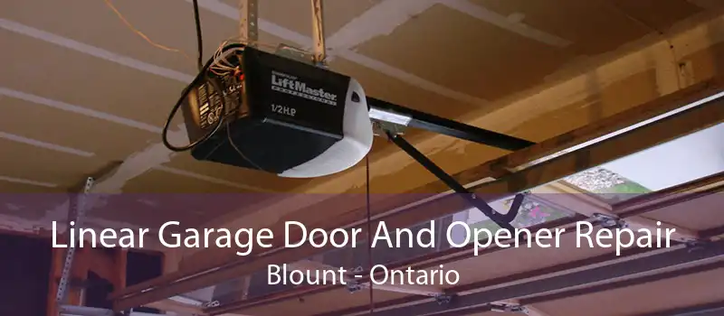 Linear Garage Door And Opener Repair Blount - Ontario