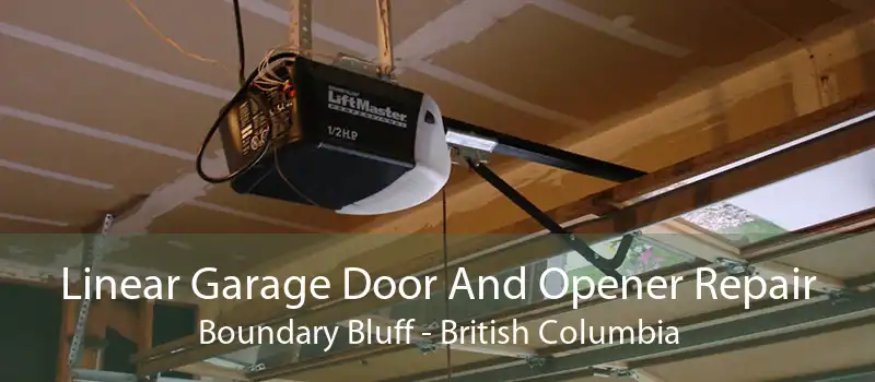Linear Garage Door And Opener Repair Boundary Bluff - British Columbia