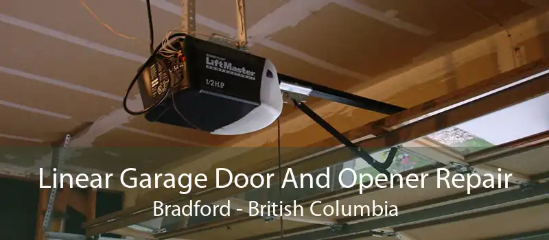 Linear Garage Door And Opener Repair Bradford - British Columbia
