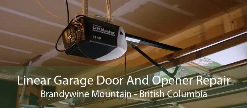 Linear Garage Door And Opener Repair Brandywine Mountain - British Columbia