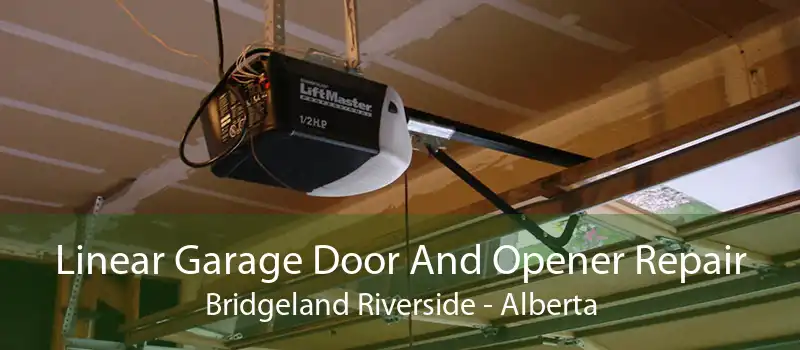 Linear Garage Door And Opener Repair Bridgeland Riverside - Alberta
