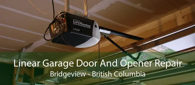 Linear Garage Door And Opener Repair Bridgeview - British Columbia