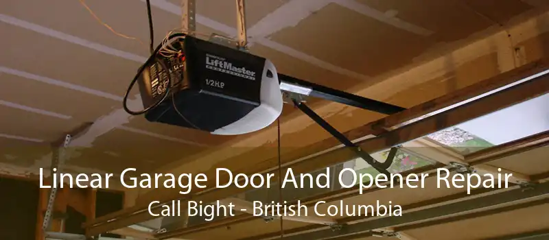 Linear Garage Door And Opener Repair Call Bight - British Columbia