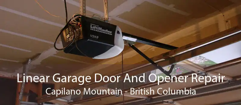 Linear Garage Door And Opener Repair Capilano Mountain - British Columbia