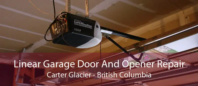 Linear Garage Door And Opener Repair Carter Glacier - British Columbia