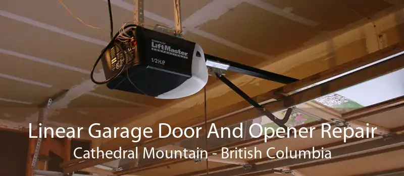 Linear Garage Door And Opener Repair Cathedral Mountain - British Columbia