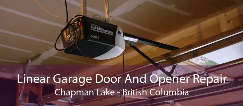 Linear Garage Door And Opener Repair Chapman Lake - British Columbia