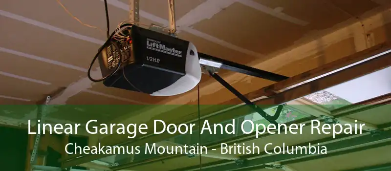 Linear Garage Door And Opener Repair Cheakamus Mountain - British Columbia