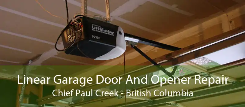 Linear Garage Door And Opener Repair Chief Paul Creek - British Columbia