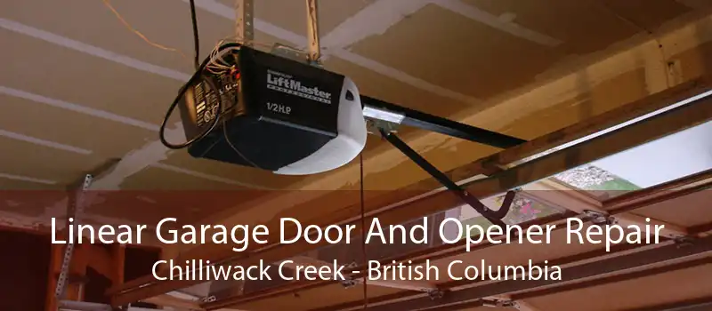 Linear Garage Door And Opener Repair Chilliwack Creek - British Columbia