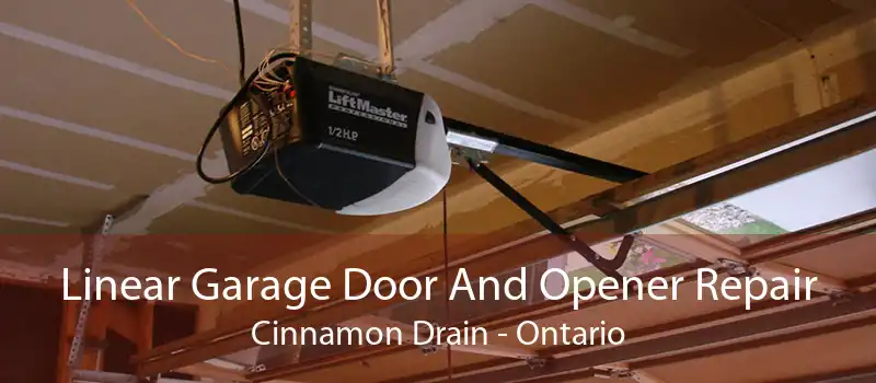 Linear Garage Door And Opener Repair Cinnamon Drain - Ontario
