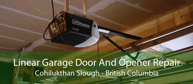 Linear Garage Door And Opener Repair Cohilukthan Slough - British Columbia