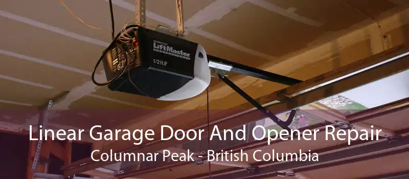 Linear Garage Door And Opener Repair Columnar Peak - British Columbia
