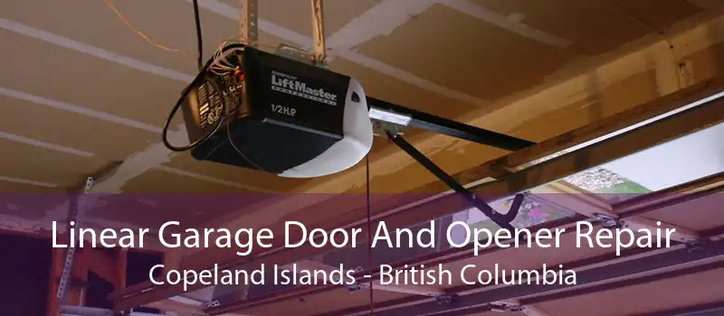 Linear Garage Door And Opener Repair Copeland Islands - British Columbia