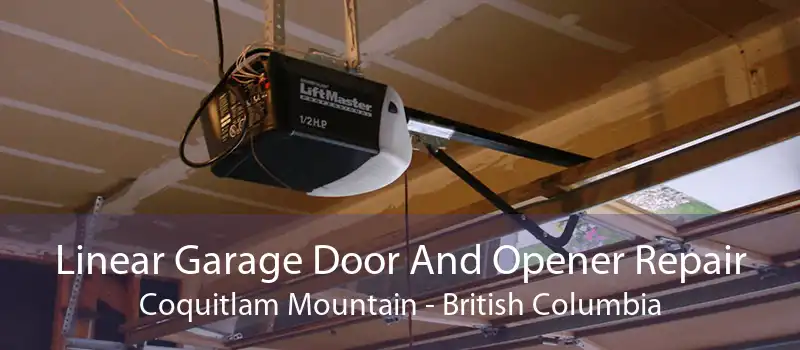 Linear Garage Door And Opener Repair Coquitlam Mountain - British Columbia