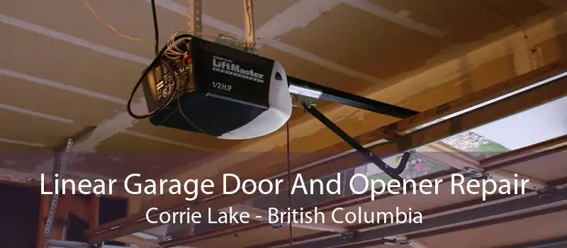 Linear Garage Door And Opener Repair Corrie Lake - British Columbia