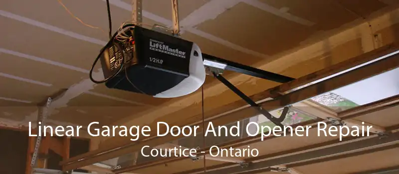 Linear Garage Door And Opener Repair Courtice - Ontario