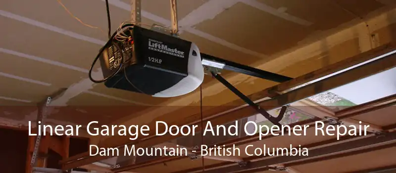 Linear Garage Door And Opener Repair Dam Mountain - British Columbia